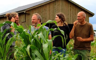 Canopée, une coopérative en agroforesterie dans la région d’Arlon