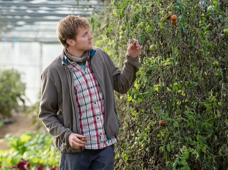 EAL², un projet d e formation à l'emploi dans l'agriculture durable