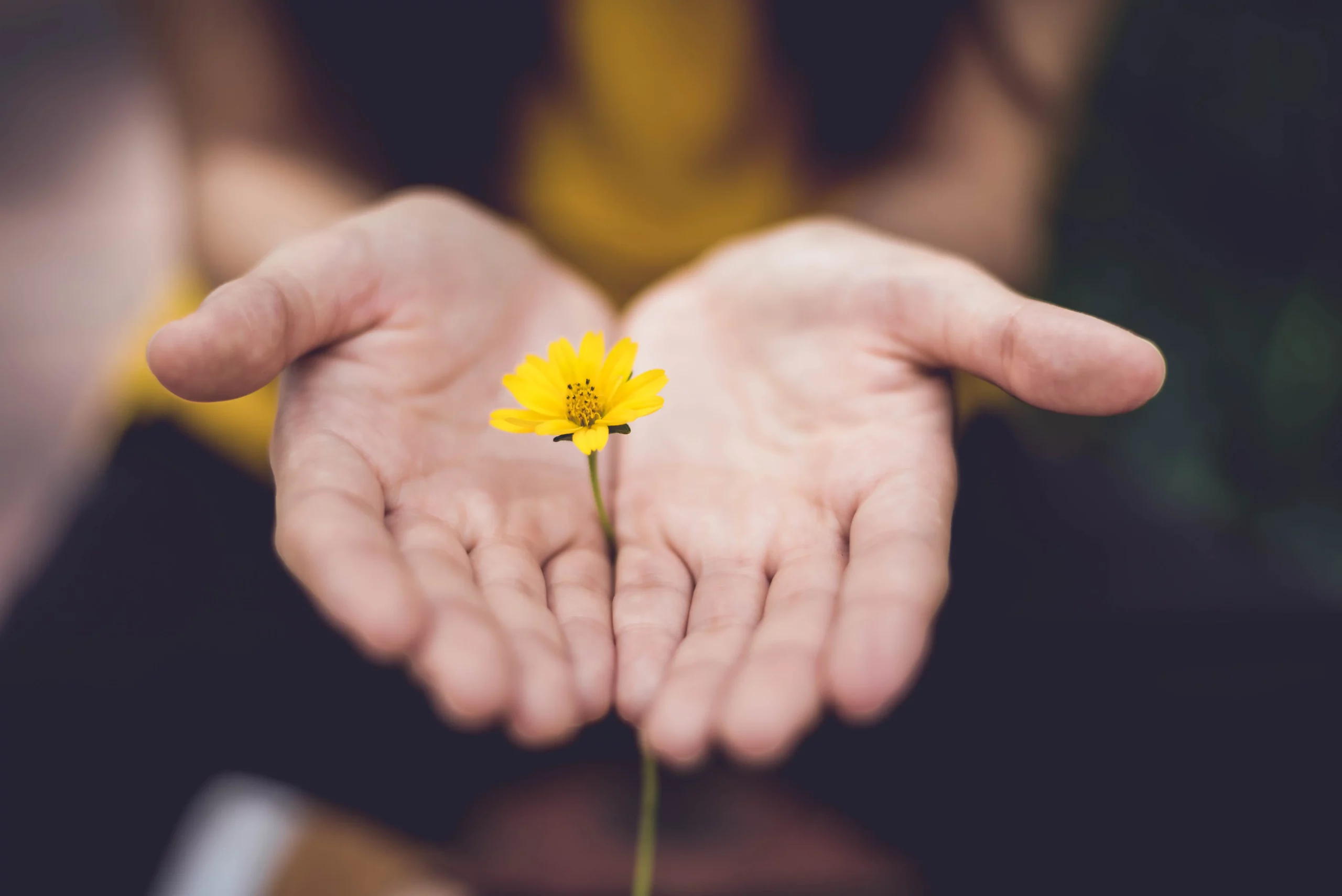 Nos-valeurs_unsplash