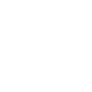 logo-fitt